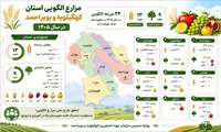 مزارع الگویی استان کهگیلویه و بویراحمد در سال ۱۴۰۵ 